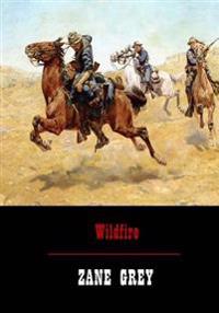 Bokomslag for "Wildfire"