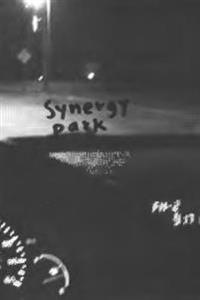Synergy Park