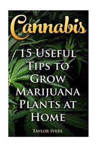 Cannabis: 15 Useful Tips to Grow Marijuana Plants at Home