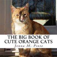The Big Book of Cute Orange Cats: A text-free book for Seniors and Alzheimer's patients
