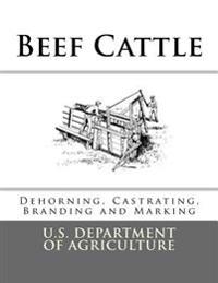 Beef Cattle: Dehorning, Castrating, Branding and Marking
