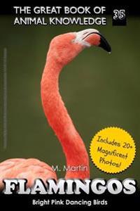 Flamingos