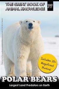 Polar Bears