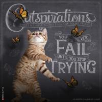Catspirations 2026 12 X 12 Wall Calendar