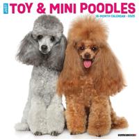 Toy & Miniature Poodles 2026 Wall Calendar