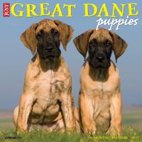 Great Dane Puppies 2027 Wall