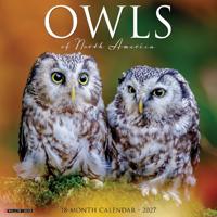 Owls of North America 2027 Wall