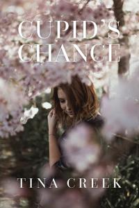Cupid's Chance