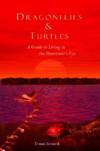 Dragonflies and Turtles: A Guide to Living in the Hurricane's Eye