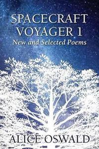 Spacecraftt Voyager 1