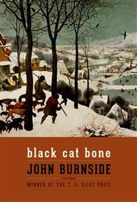 Black Cat Bone