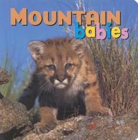Mountain Babies