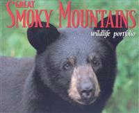 Great Smoky Mountains Wildlife Portfolio
