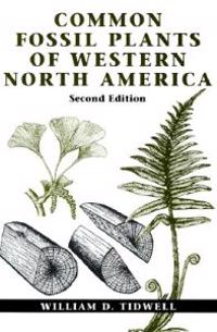 Common Fossil Plants of Western North America