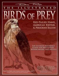 The Illustrated Birds of Prey
