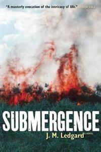 Submergence