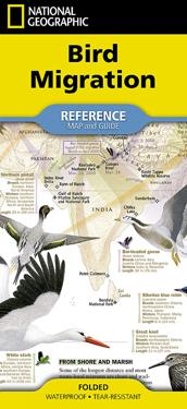 National Geographic Bird Migration [folded]