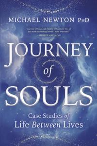 Journey of souls - case studies of life between lives