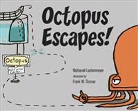 Octopus Escapes!