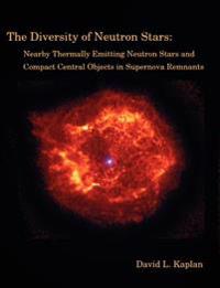 The Diversity of Neutron Stars