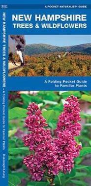 New Hampshire Trees & Wildflowers