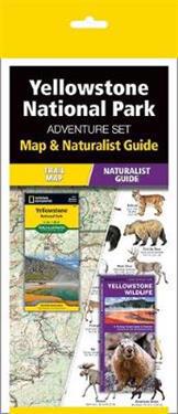 Yellowstone National Park Adventure Set