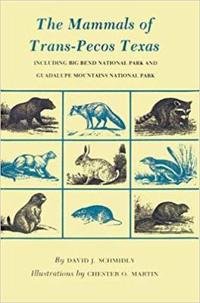 Mammals of Trans-Pecos Texas