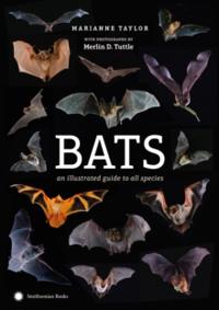 Bats