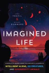 IMAGINED LIFE HB