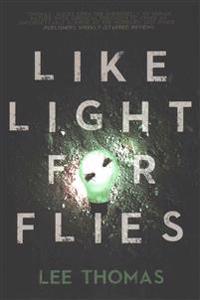 Like Light for Flies