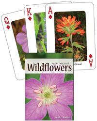 Wildflowers of the Northeast Playing Cards