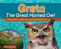 Greta the Great Horned Owl