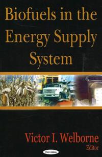 Biofuels in the Energy Supply System