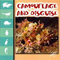 Camouflage and Disguise