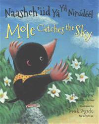Mole Catches the Sky (Navajo/English)