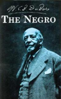 Bokomslag for "The Negro"