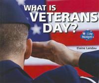 What Is Veterans Day?