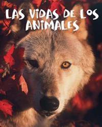 Las Vidas de Los Animales: Animal Lives