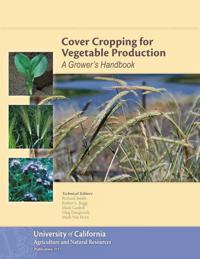 Cover Cropping for Vegetable Production