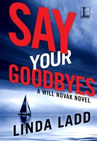 A Will Novak Novel