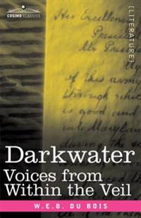 Bokomslag för "Darkwater: Voices from Within the Veil"