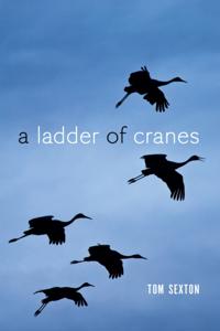 Ladder of Cranes