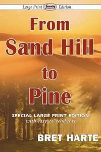 From Sand Hill to Pine (Large Print Edition)