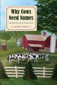 Why Cows Need Names and More Secrets of Amish Farms