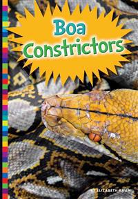 Boa Constrictors