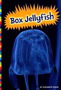 Box Jellyfish