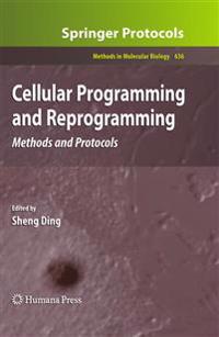 Cellular Programming and Reprogramming