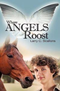 Kirjan kansi "Where Angels Roost"