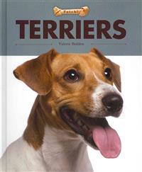 Terriers