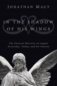 Kirjan kansi "In the Shadow of His Wings"